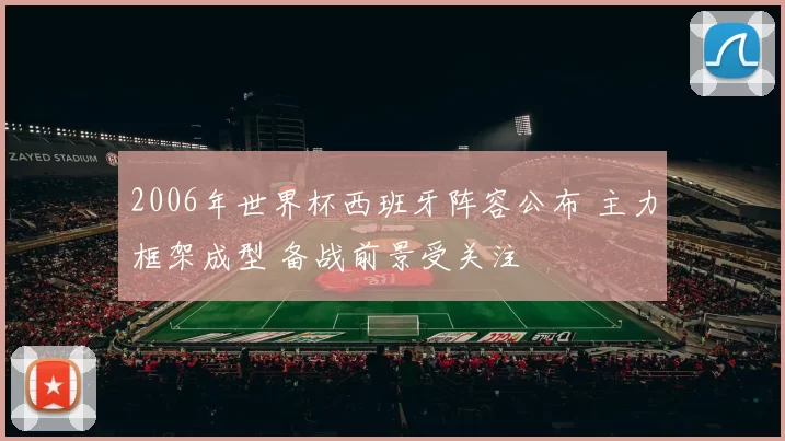 2006年世界杯西班牙阵容公布 主力框架成型 备战前景受关注