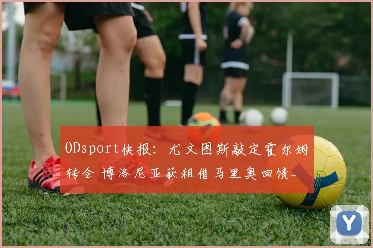 ODsport快报：尤文图斯敲定霍尔姆转会 博洛尼亚获租借马里奥回馈_交易_中场_若昂
