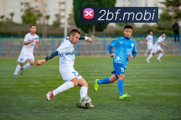 开云网页版页面登录 - 开云(中国)服务体系